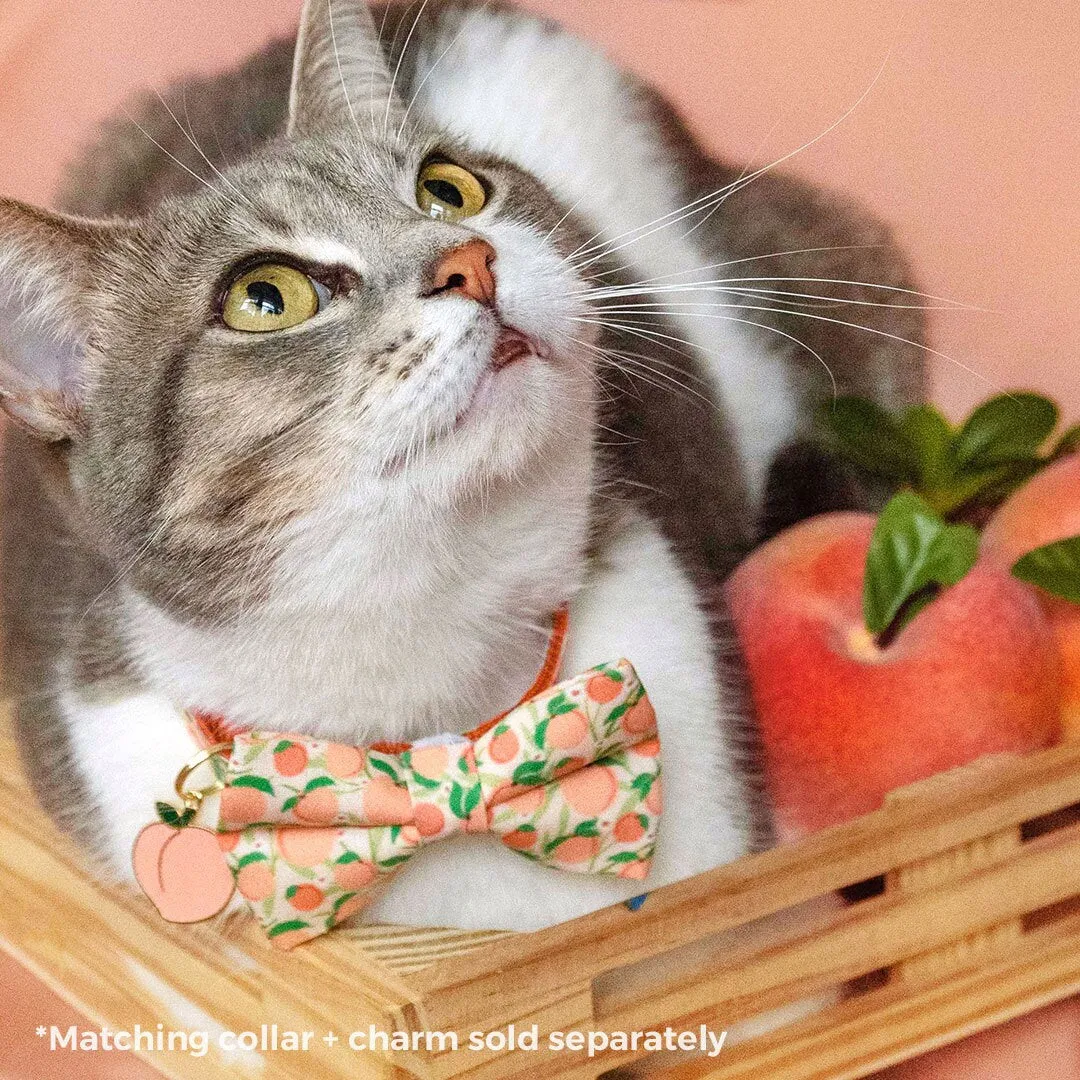 Pet Bow Tie - "Just Peachy" - Peach Cat Bow Tie / Spring   Summer / For Cats   Small Dogs (One Size)