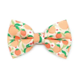 Pet Bow Tie - "Just Peachy" - Peach Cat Bow Tie / Spring   Summer / For Cats   Small Dogs (One Size)