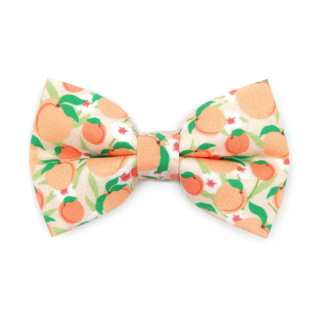 Pet Bow Tie - "Just Peachy" - Peach Cat Bow Tie / Spring   Summer / For Cats   Small Dogs (One Size)